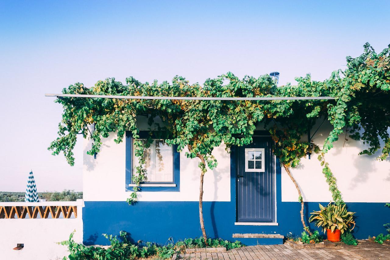 Monte Do Colmeal - Country House & Wine Guest House Mourao Ngoại thất bức ảnh