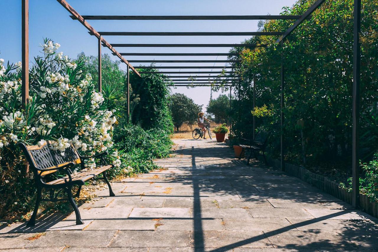 Monte Do Colmeal - Country House & Wine Guest House Mourao Ngoại thất bức ảnh