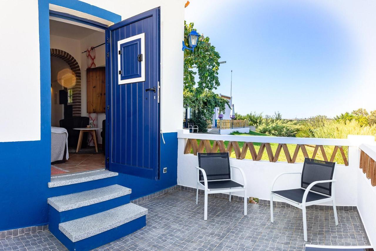 Monte Do Colmeal - Country House & Wine Guest House Mourao Ngoại thất bức ảnh